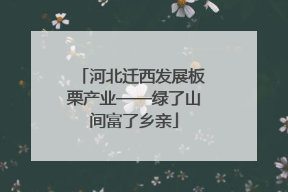 河北迁西发展板栗产业——绿了山间富了乡亲