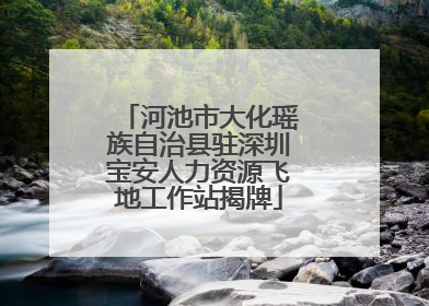 河池市大化瑶族自治县驻深圳宝安人力资源飞地工作站揭牌