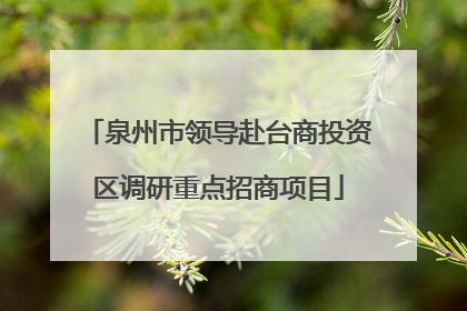 泉州市领导赴台商投资区调研重点招商项目