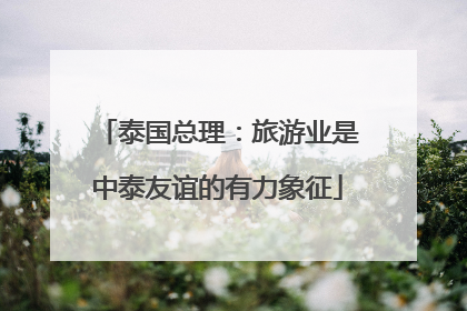 泰国总理：旅游业是中泰友谊的有力象征