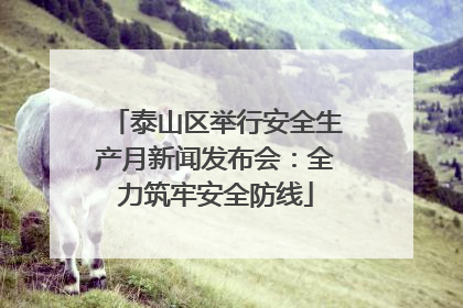 泰山区举行安全生产月新闻发布会：全力筑牢安全防线