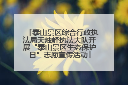 泰山景区综合行政执法局天烛峰执法大队开展“泰山景区生态保护日”志愿宣传活动