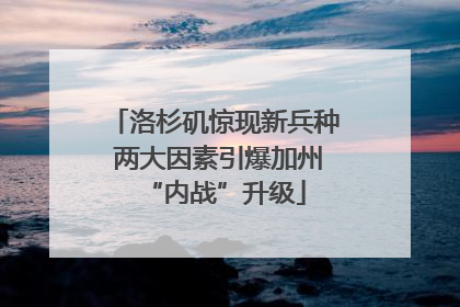 洛杉矶惊现新兵种 两大因素引爆加州“内战”升级