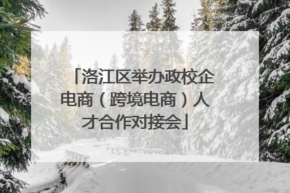 洛江区举办政校企电商（跨境电商）人才合作对接会