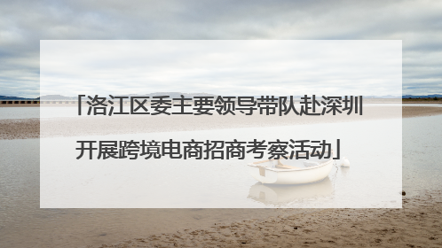 洛江区委主要领导带队赴深圳开展跨境电商招商考察活动