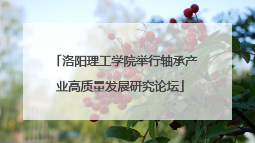 洛阳理工学院举行轴承产业高质量发展研究论坛