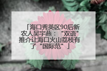 海口秀英区90后新农人吴宇燕：“双语”推介让海口火山荔枝有了“国际范”