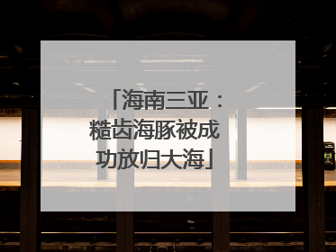 海南三亚：糙齿海豚被成功放归大海