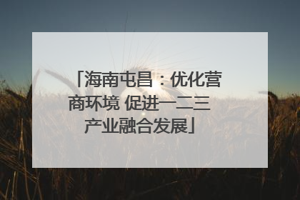 海南屯昌：优化营商环境 促进一二三产业融合发展