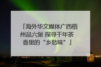海外华文媒体广西梧州品六堡 探寻千年茶香里的“乡愁味”