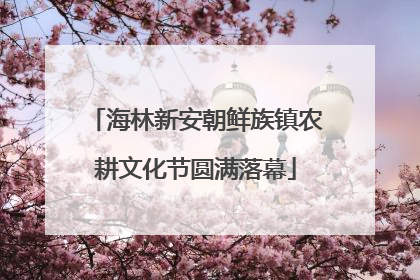 海林新安朝鲜族镇农耕文化节圆满落幕