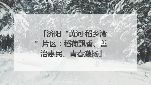 济阳“黄河·稻乡湾”片区：稻荷飘香、善治惠民、青春激扬