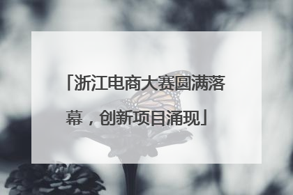 浙江电商大赛圆满落幕，创新项目涌现