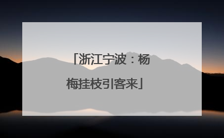 浙江宁波：杨梅挂枝引客来
