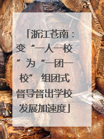 浙江苍南：变“一人一校”为“一团一校” 组团式督导督出学校发展加速度