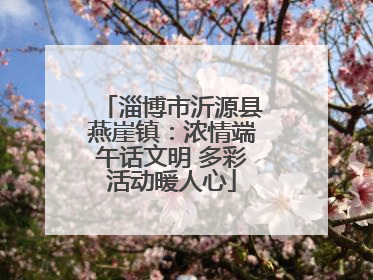 淄博市沂源县燕崖镇：浓情端午话文明 多彩活动暖人心