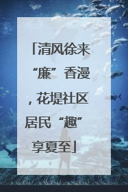 清风徐来“廉”香漫，花堤社区居民“趣”享夏至