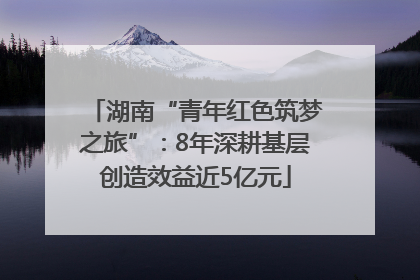 湖南“青年红色筑梦之旅”：8年深耕基层创造效益近5亿元