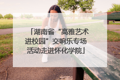 湖南省“高雅艺术进校园”交响乐专场活动走进怀化学院