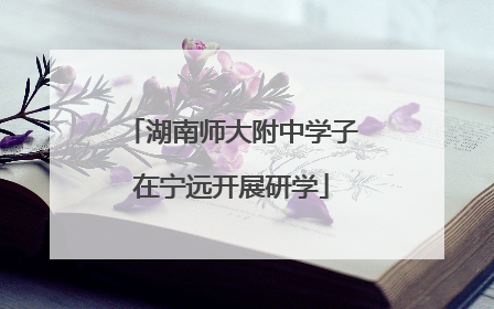 湖南师大附中学子在宁远开展研学
