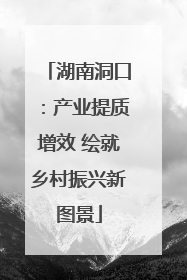湖南洞口：产业提质增效 绘就乡村振兴新图景