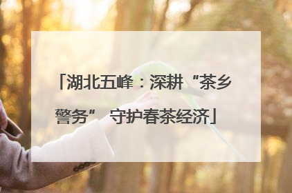 湖北五峰：深耕“茶乡警务” 守护春茶经济