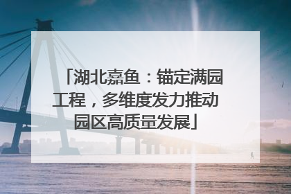 湖北嘉鱼：锚定满园工程，多维度发力推动园区高质量发展