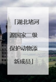 湖北堵河源国家二级保护动物添新成员