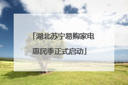 湖北苏宁易购家电惠民季正式启动