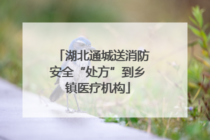 湖北通城送消防安全“处方”到乡镇医疗机构