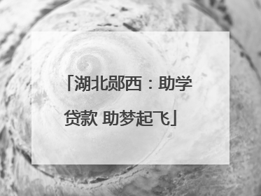 湖北郧西：助学贷款 助梦起飞