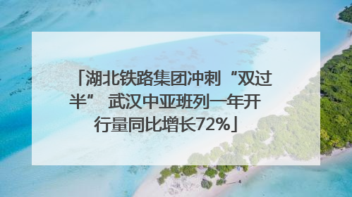 湖北铁路集团冲刺“双过半” 武汉中亚班列一年开行量同比增长72%