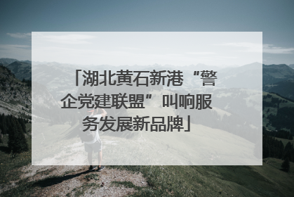 湖北黄石新港“警企党建联盟”叫响服务发展新品牌