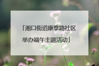 湘口街道康泰路社区举办端午主题活动