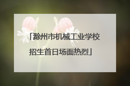 滁州市机械工业学校招生首日场面热烈
