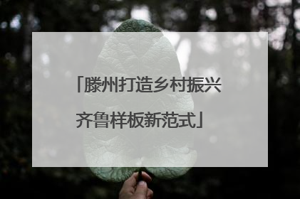 滕州打造乡村振兴齐鲁样板新范式