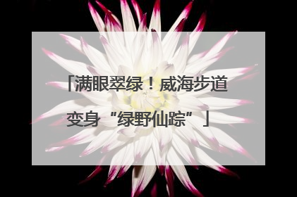 满眼翠绿！威海步道变身“绿野仙踪”