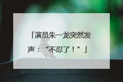 演员朱一龙突然发声：“不忍了！”