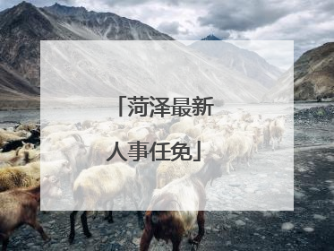 菏泽最新人事任免