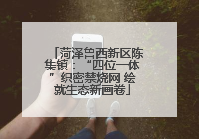 菏泽鲁西新区陈集镇：“四位一体”织密禁烧网 绘就生态新画卷