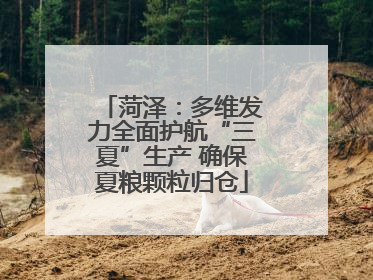 菏泽：多维发力全面护航“三夏”生产 确保夏粮颗粒归仓