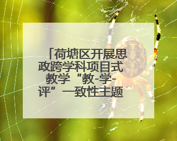 荷塘区开展思政跨学科项目式教学“教-学-评”一致性主题课例研讨活动