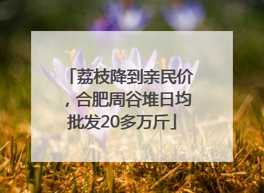荔枝降到亲民价，合肥周谷堆日均批发20多万斤