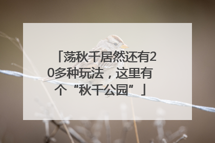 荡秋千居然还有20多种玩法，这里有个“秋千公园”