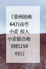 莱州抢收64万亩冬小麦 投入小麦联合收割机1500台