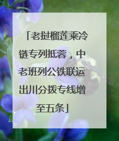 老挝榴莲乘冷链专列抵蓉，中老班列公铁联运出川分拨专线增至五条