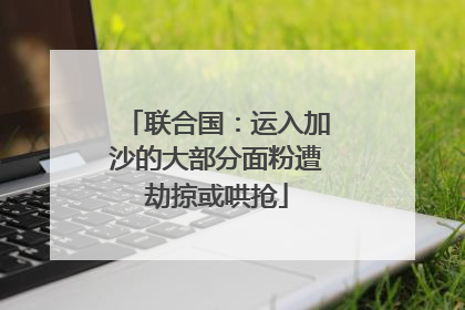 联合国：运入加沙的大部分面粉遭劫掠或哄抢