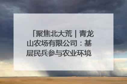 聚焦北大荒｜青龙山农场有限公司：基层民兵参与农业环境综合治理显效