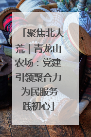 聚焦北大荒｜青龙山农场：党建引领聚合力 为民服务践初心