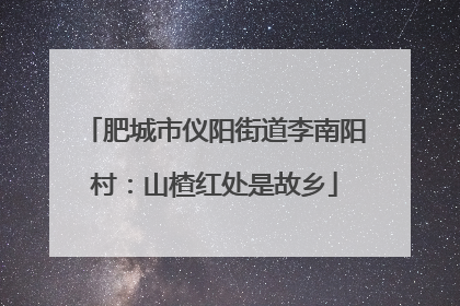 肥城市仪阳街道李南阳村：山楂红处是故乡
